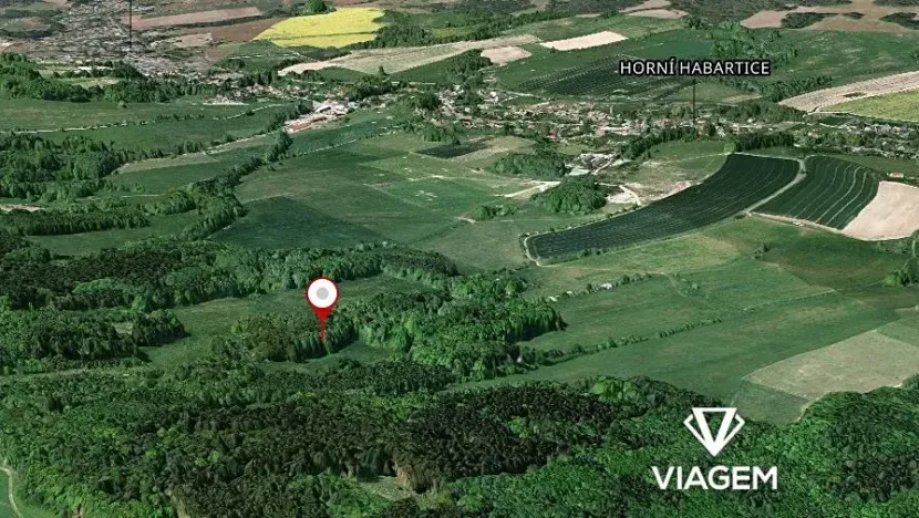 Prodej podílu lesa, Horní Habartice, 2694 m2