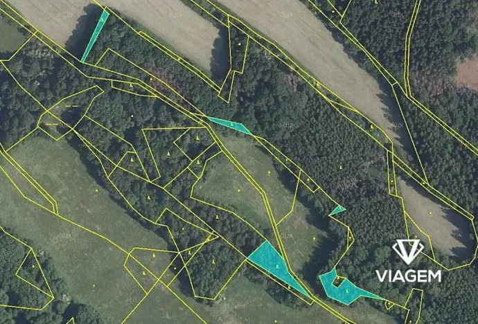 Prodej podílu lesa, Horní Habartice, 2358 m2