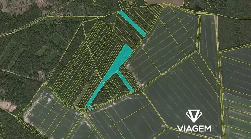 Prodej podílu lesa, Komárov, 8639 m2