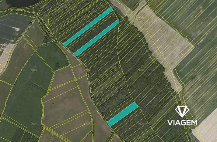 Prodej podílu lesa, Komárov, 8639 m2