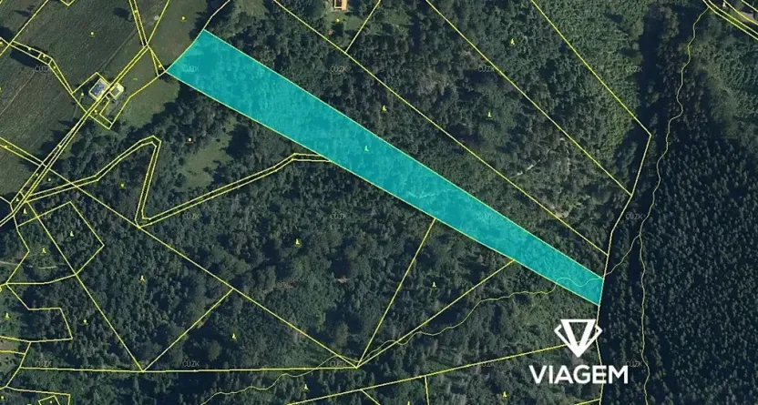 Prodej podílu lesa, Nýdek, 3108 m2