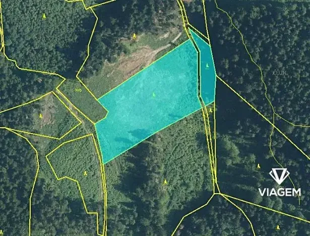 Prodej lesa, Lhota u Vsetína, 11980 m2