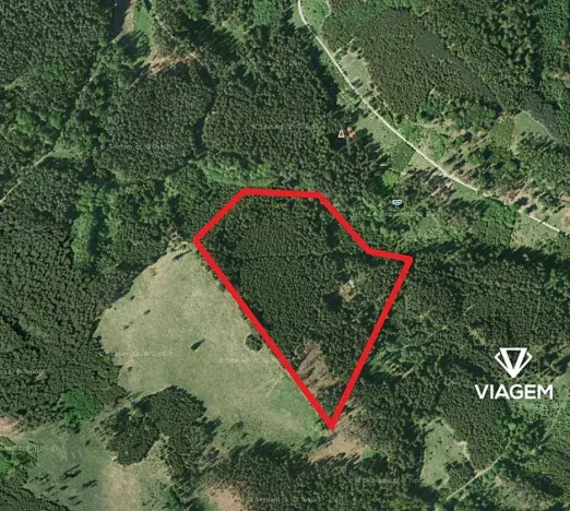 Prodej podílu lesa, Všechovice, 23376 m2