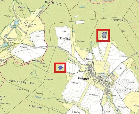 Prodej podílu lesa, Buková, 821 m2