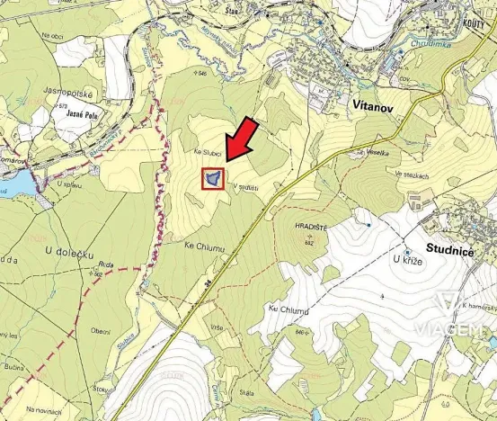 Prodej podílu lesa, Vítanov, 1399 m2