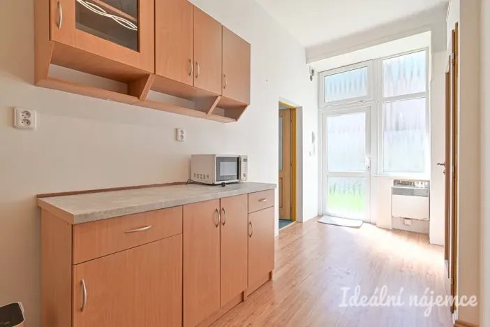 Pronájem bytu 1+1, Brno, Bratislavská, 40 m2