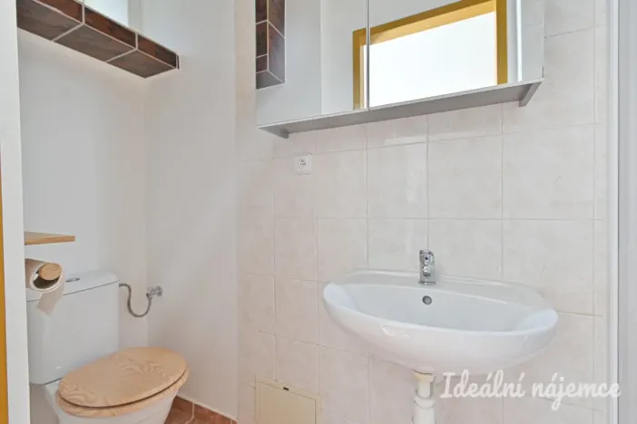 Pronájem bytu 1+1, Brno, Bratislavská, 40 m2