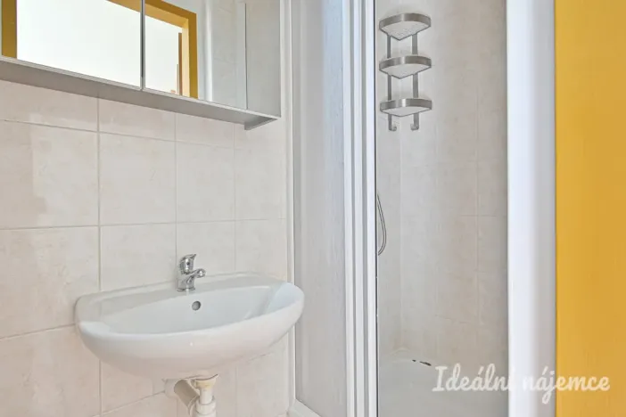 Pronájem bytu 1+1, Brno, Bratislavská, 40 m2