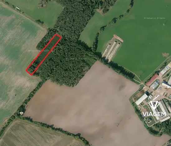 Prodej podílu lesa, Živanice, 3988 m2