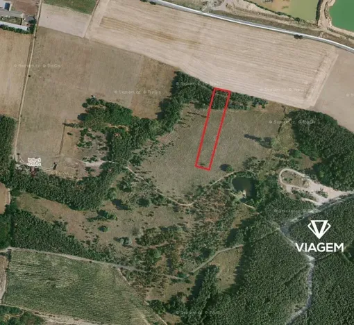 Prodej podílu lesa, Travčice, 1044 m2