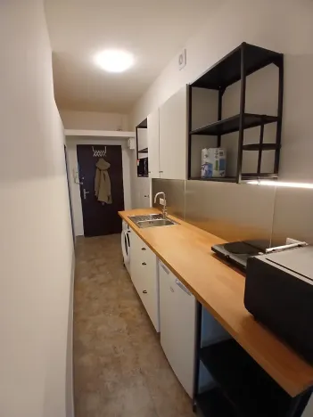 Pronájem bytu 1+kk, Praha - Vinohrady, Vinohradská, 33 m2