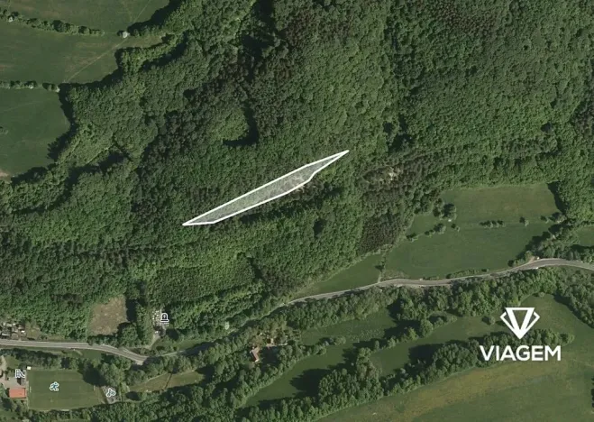 Prodej lesa, Bratřejov, 4091 m2