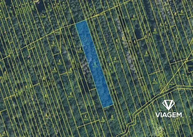 Prodej podílu lesa, Kněždub, 3060 m2