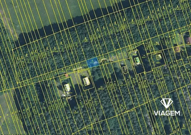 Prodej podílu lesa, Kněždub, 3060 m2