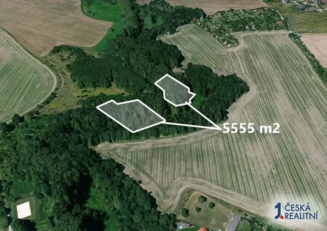 Prodej lesa, Praha, 5555 m2