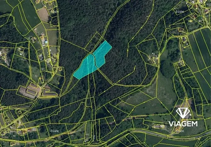 Prodej podílu lesa, Mírová pod Kozákovem, 4616 m2