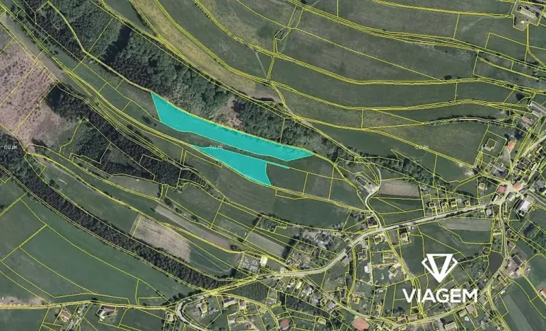 Prodej pole, Vysoká Srbská, 21336 m2