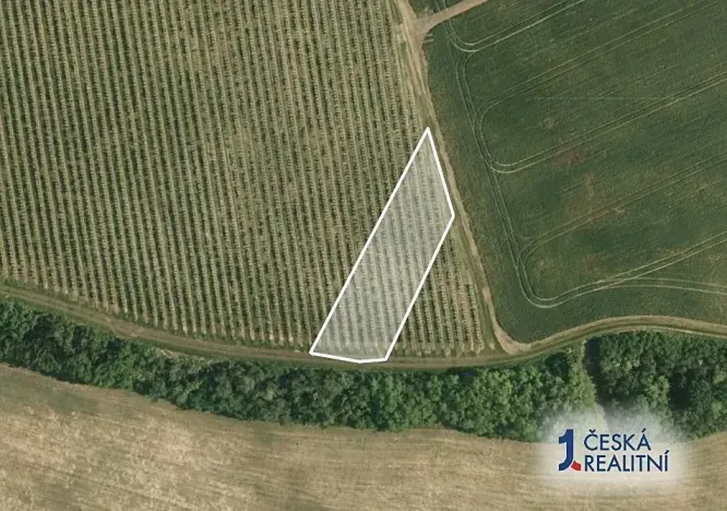 Prodej pole, Nosislav, 1542 m2