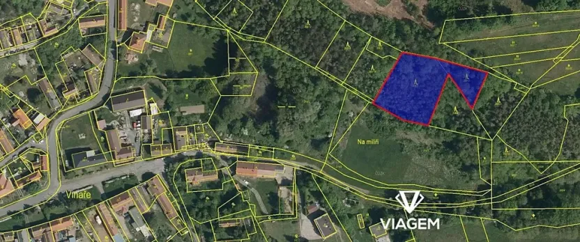 Prodej lesa, Vinaře, 3482 m2