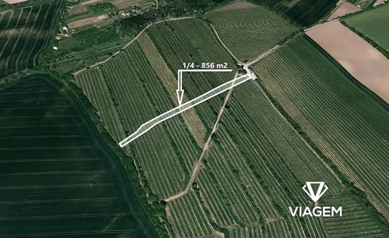 Prodej podílu pole, Boršice, 856 m2