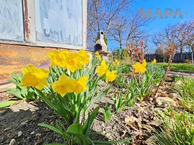 Prodej zahrady, Jirkov, Ke Koupališti, 794 m2