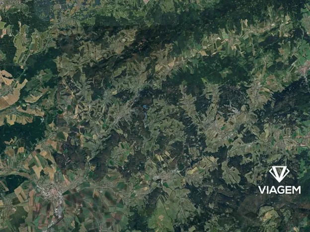 Prodej podílu lesa, Luhačovice, 8215 m2