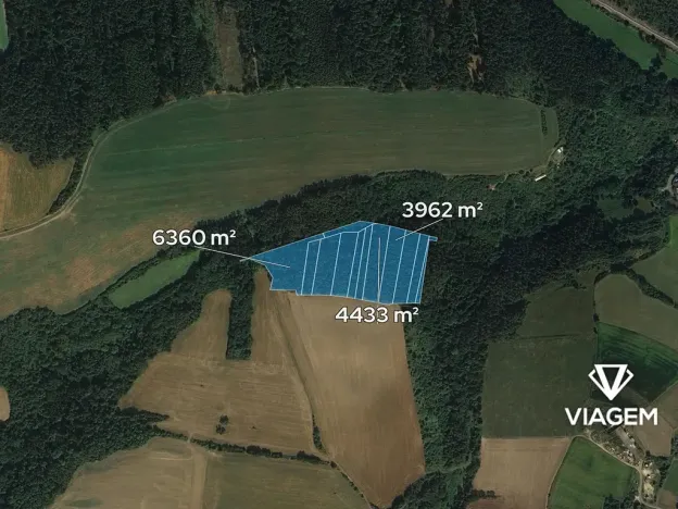 Prodej podílu lesa, Chlum, 1915 m2