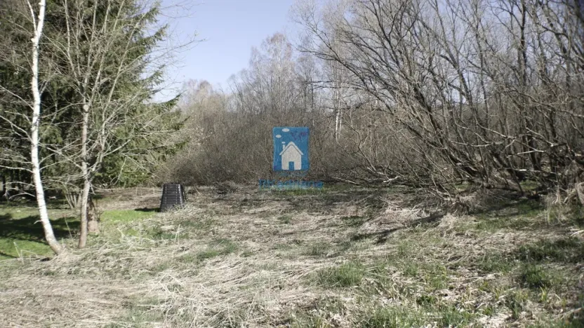 Prodej pozemku pro bydlení, Horní Vltavice, 4794 m2