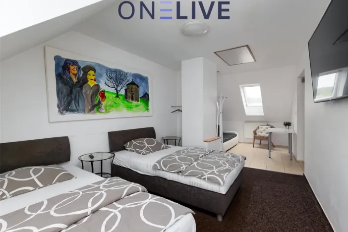 Prodej ubytování, Starý Plzenec, Masarykovo náměstí, 480 m2