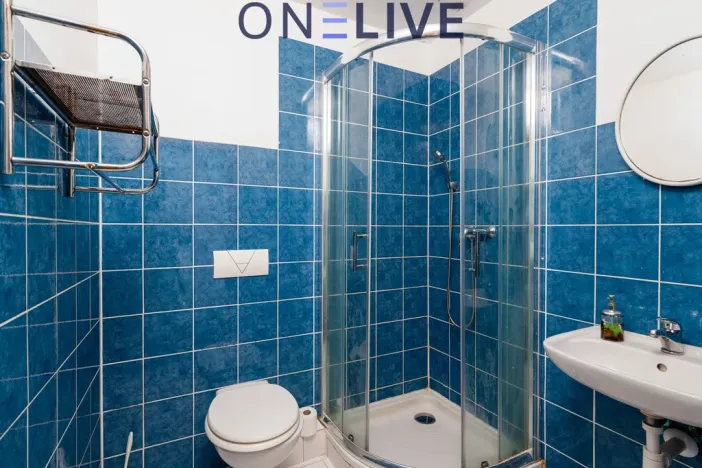 Prodej ubytování, Starý Plzenec, Masarykovo náměstí, 480 m2