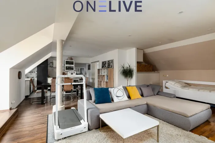 Prodej ubytování, Starý Plzenec, Masarykovo náměstí, 480 m2