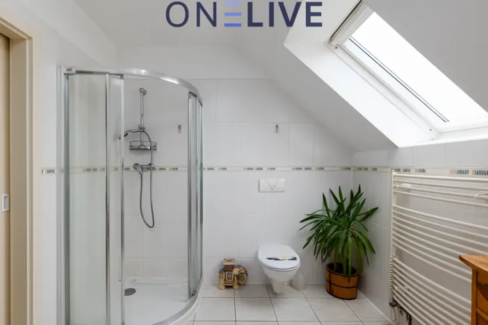 Prodej ubytování, Starý Plzenec, Masarykovo náměstí, 480 m2