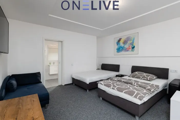 Prodej ubytování, Starý Plzenec, Masarykovo náměstí, 480 m2