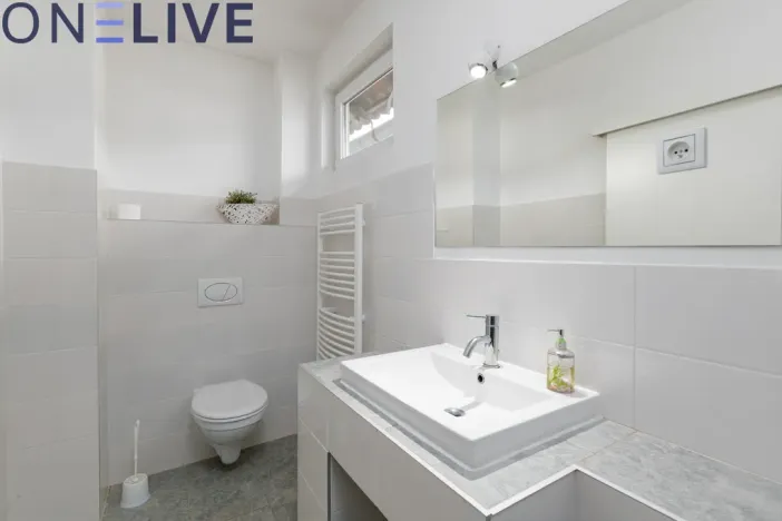 Prodej ubytování, Starý Plzenec, Masarykovo náměstí, 480 m2