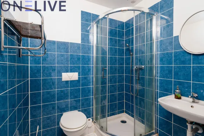 Prodej ubytování, Starý Plzenec, Masarykovo náměstí, 480 m2