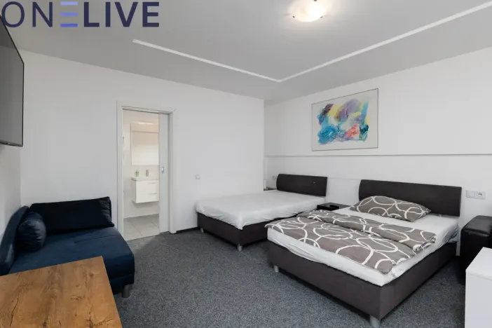 Prodej ubytování, Starý Plzenec, Masarykovo náměstí, 480 m2