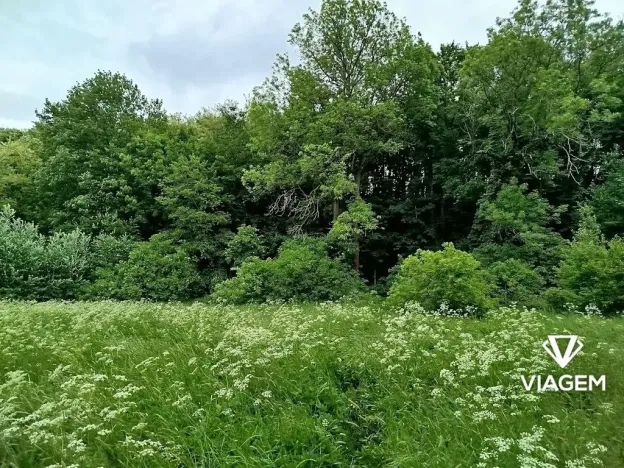 Prodej louky, Kolín, 2633 m2