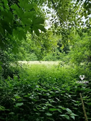 Prodej louky, Kolín, 2633 m2