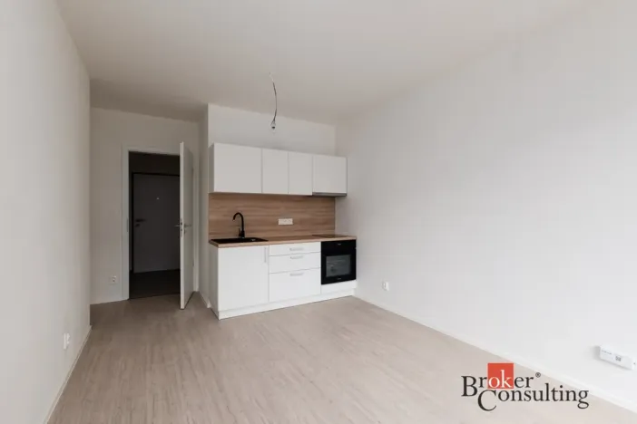 Pronájem bytu 1+kk, Plzeň - Východní Předměstí, Kartónová, 27 m2
