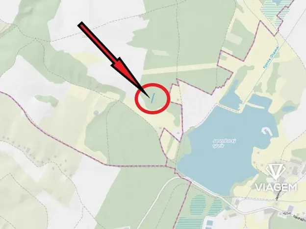 Prodej lesa, Hovorany, 1274 m2