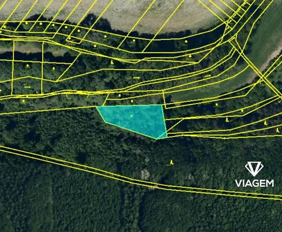 Prodej podílu lesa, Kyjov, 401 m2