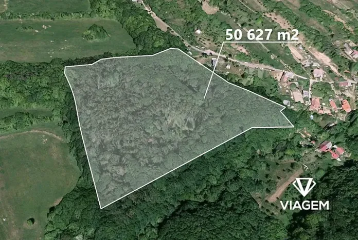 Prodej podílu lesa, Košíky, 8165 m2