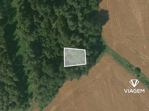 Prodej lesa, Malinová, 233 m2