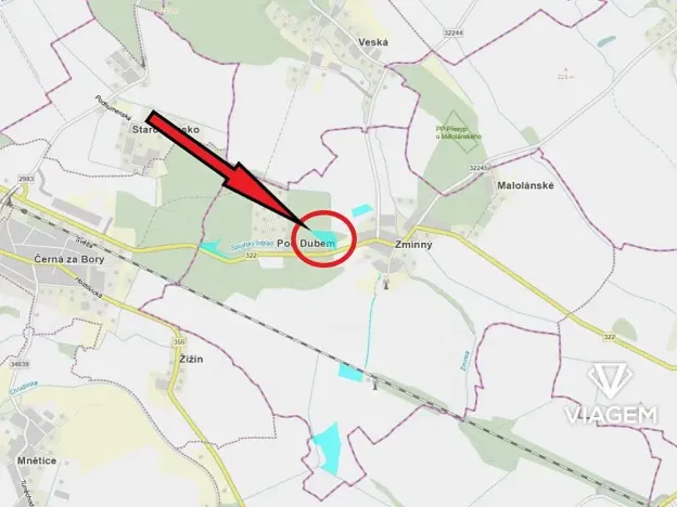 Prodej podílu lesa, Dašice, 5360 m2