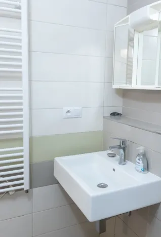 Pronájem bytu 2+1, Praha - Žižkov, Krásova, 56 m2