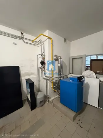 Pronájem obchodního prostoru, Domažlice, Husova třída, 285 m2