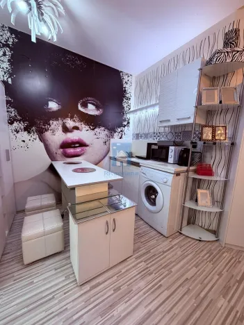 Pronájem bytu 1+kk, Plzeň, Koterovská, 28 m2