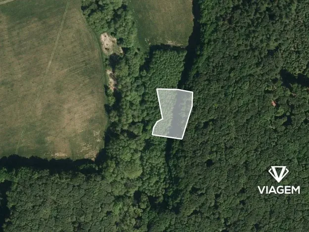 Prodej podílu lesa, Žlutava, 2234 m2