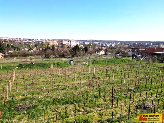 Prodej pozemku pro bydlení, Nový Šaldorf-Sedlešovice, 3428 m2