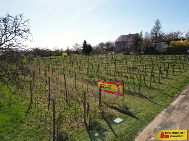 Prodej pozemku pro bydlení, Nový Šaldorf-Sedlešovice, 3428 m2